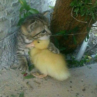 🌤دوسلاررر🌤