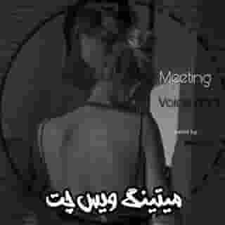 ༺ 𝐌𝐞𝐞𝐭𝐢𝐧𝐠 𝐕𝐨𝐢𝐜𝐞 𝐂𝐡𝐚𝐭 ༻