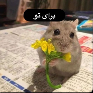 💝♩ 𝓶𝐚я𝐓ⓘ𝓪ηŞ 👊👻