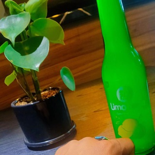 🌴سَلْطنَتْ سَــرْبٰازْ _چٰابُهٰار🌴