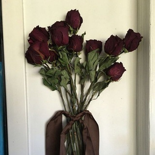 𝗙 𝗼 𝗿 𝗲 𝘃 𝗲 𝗿