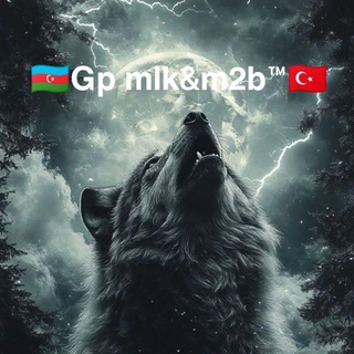 🇦🇿𝗚𝗽 𝗺𝗹𝗸&amp;𝗺𝟮𝗯™🇹🇷