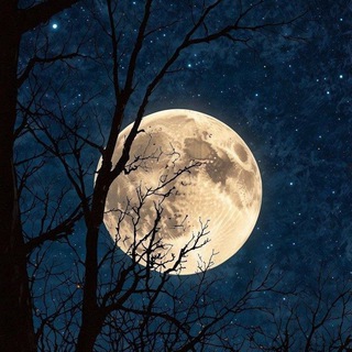 ℂ𝕒𝕝𝕞 &amp; ℂ𝕠𝕫𝕪